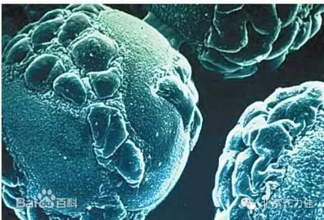 浅谈非最终灭菌产品在除菌过滤方面存在的安全隐患