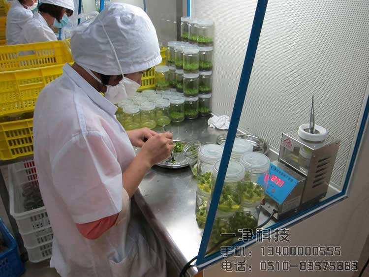 食用菌工厂无菌洁净室净化装修设计注意事项